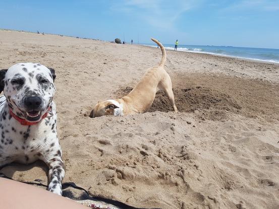 Lusy y Suri en la playa!
