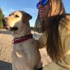 Lucia: Cuidadora de perros en Pozuelo de Alarcón y alrededores
