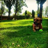 Frida avatar