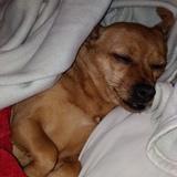 Lupita avatar