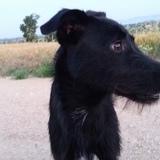 Muga avatar