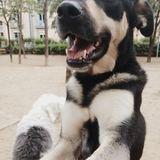 Titán avatar