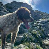 nala avatar