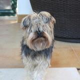 Kika avatar