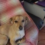 Mel avatar