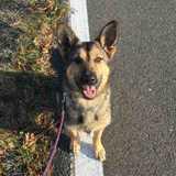 Bimba avatar