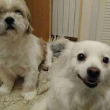 Luna y Páris avatar