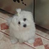 Deisy avatar