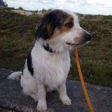 Loky avatar