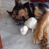 Thori avatar