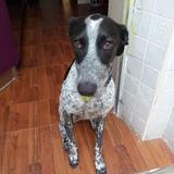 Sancho avatar