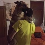 Rocco avatar