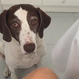 Berta avatar