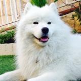 Izan avatar