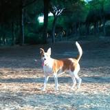 Yara avatar