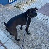 Pepa avatar