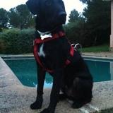 Coco avatar