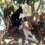 Tinte, Kinder, Dina, Cendra, Fort, Cuc y Beto avatar