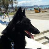 Mandra avatar
