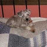 Neska avatar