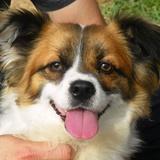 rocki avatar