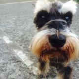 patxi avatar