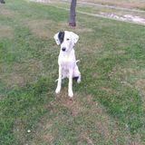 Gus avatar