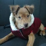 KENAI avatar