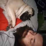 Gordo avatar