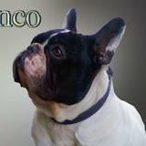 Franco avatar