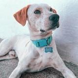 Tayson avatar