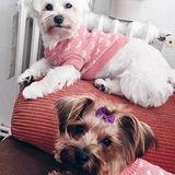Matilda y Valentina avatar