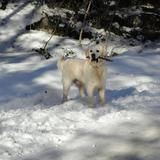 Eros avatar