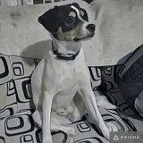 Luna avatar