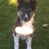 Axel avatar