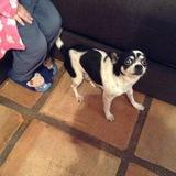 Pancho avatar