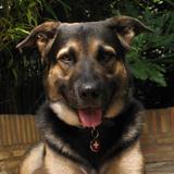 Argos avatar