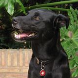 Ulysses  avatar