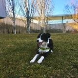 Ralf avatar