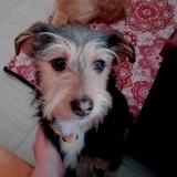 Gusi avatar
