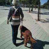GUINDA avatar
