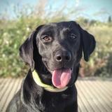 Malibú avatar