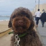 Keko avatar