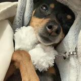 Athos avatar