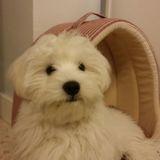 Tuky-Tuky avatar