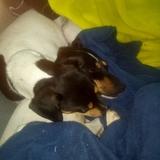  Tobby  avatar