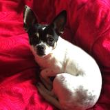 Bimba avatar