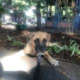 Sole avatar
