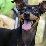 Kika avatar