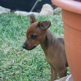 Tierra avatar